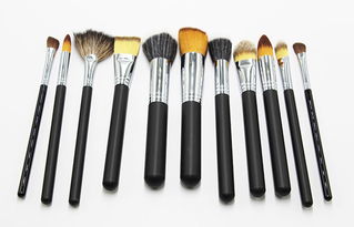 简约美妆新选择 九支化妆刷与家居护理用品的贴心组合